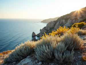 barba di giove — immagine editoriale ultra-realistica (fal.ai)
