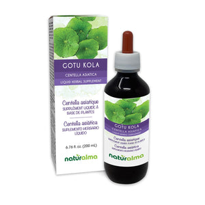 Gotu kola Alcohol-free liquid tincture - Naturalma - Herbal supplement