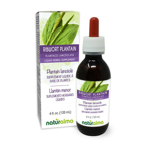 Plantain lancéolé Teinture liquide sans alcool - Naturalma - Supplément à base de plantes