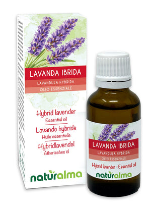 Lavanda ibrida Olio essenziale - Naturalma