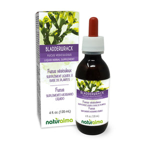 Bladderwrack Alcohol-free liquid tincture - Naturalma - Herbal supplement