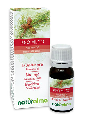 Pino mugo Olio essenziale - Naturalma