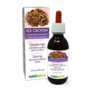Red Cinchona Alcohol-free liquid tincture - Naturalma - Herbal supplement