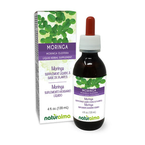 Moringa Alcohol-free liquid tincture - Naturalma - Herbal supplement