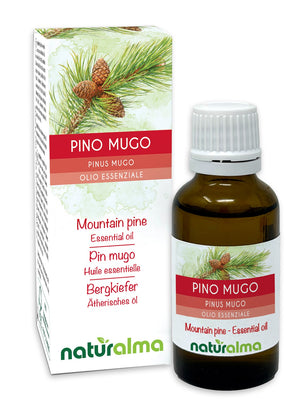 Pino mugo Olio essenziale - Naturalma
