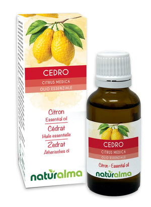 Cedro Olio essenziale - Naturalma