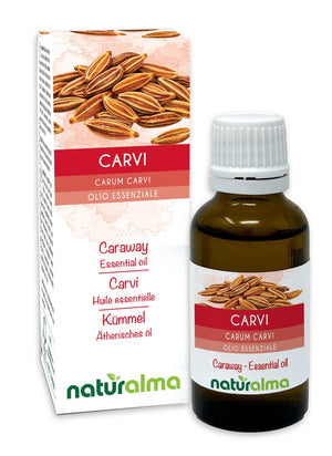Carvi Olio essenziale - Naturalma