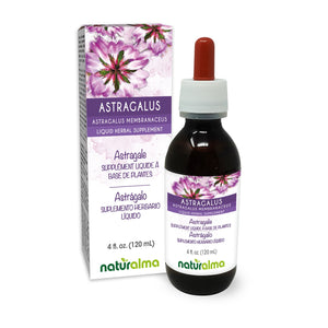 Astragalus Alcohol-free liquid tincture - Naturalma - Herbal supplement