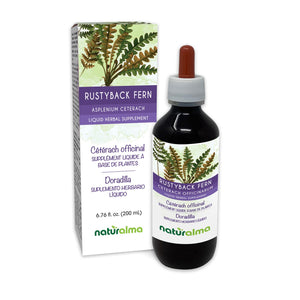 Rustyback fern Alcohol-free liquid tincture - Naturalma - Herbal supplement