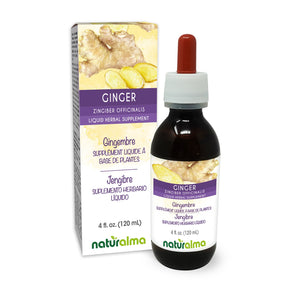 Gingembre Teinture liquide sans alcool - Naturalma - Supplément à base de plantes