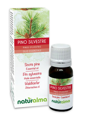 Pino silvestre Olio essenziale - Naturalma