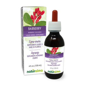 Barberry Alcohol-free liquid tincture - Naturalma - Herbal supplement