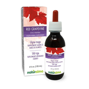 Red grapevine Alcohol-free liquid tincture - Naturalma - Herbal supplement