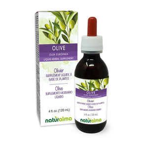 Olivier Teinture liquide sans alcool - Naturalma - Supplément à base de plantes