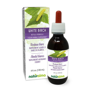 White birch Alcohol-free liquid tincture - Naturalma - Herbal supplement