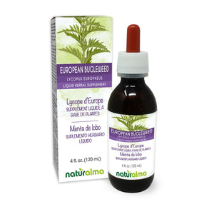 European bugleweed Alcohol-free liquid tincture - Naturalma - Herbal supplement