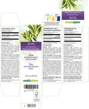 Olive Alcohol-free liquid tincture - Naturalma - Herbal supplement