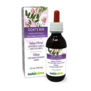 Galéga officinal Teinture liquide sans alcool - Naturalma - Supplément à base de plantes