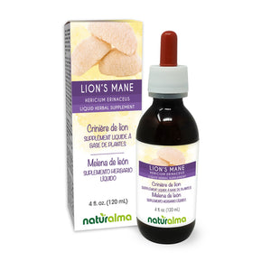 Lion's mane Alcohol-free liquid tincture - Naturalma - Herbal supplement