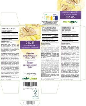 Ginger Alcohol-free liquid tincture - Naturalma - Herbal supplement