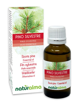 Pino silvestre Olio essenziale - Naturalma