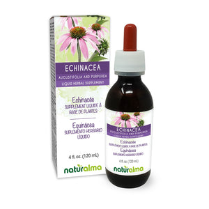 Equinácea Tintura líquida sin alcohol - Naturalma - Suplemento herbario