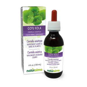 Gotu kola Alcohol-free liquid tincture - Naturalma - Herbal supplement