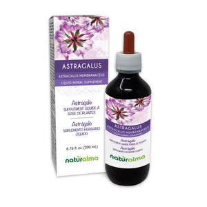 Astragalus Alcohol-free liquid tincture - Naturalma - Herbal supplement
