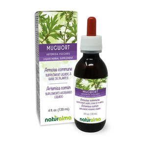 Mugwort Alcohol-free liquid tincture - Naturalma - Herbal supplement