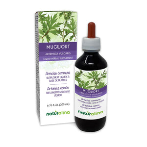 Mugwort Alcohol-free liquid tincture - Naturalma - Herbal supplement