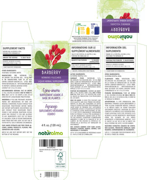 Barberry Alcohol-free liquid tincture - Naturalma - Herbal supplement