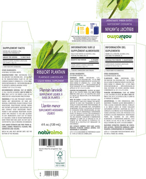 Ribwort plantain Alcohol-free liquid tincture - Naturalma - Herbal supplement