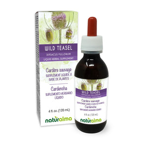 Wild teasel Alcohol-free liquid tincture - Naturalma - Herbal supplement