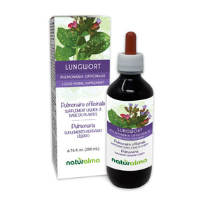 Pulmonaire officinale Teinture liquide sans alcool - Naturalma - Supplément à base de plantes