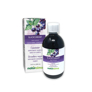 Blackcurrant Alcohol-free liquid tincture - Naturalma - Herbal supplement