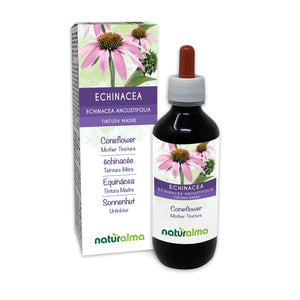 Echinacea Tintura madre liquido analcoolico - Naturalma - Integratore alimentare