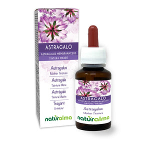 Astragalo Tintura madre liquido analcoolico - Naturalma - Integratore alimentare