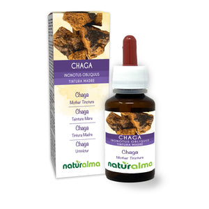 Chaga Tintura madre liquido analcoolico - Naturalma - Integratore alimentare