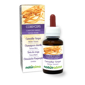 Cordyceps Tintura madre liquido analcoolico - Naturalma - Integratore alimentare
