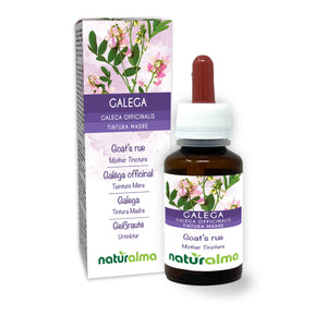 goat’s rue alcohol-free mother tincture liquid - Naturalma - Food supplement