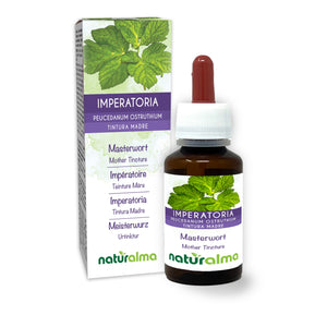 gorysz miarz nalewka macierzysta bez alkoholu płyn - Naturalma - Suplement diety