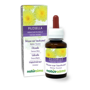 Pilosella Tintura madre liquido analcoolico - Naturalma - Integratore alimentare