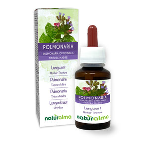 Polmonaria Tintura madre liquido analcoolico - Naturalma - Integratore alimentare