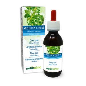Angelica Cinese Tintura madre liquido alcoolico - Naturalma - Integratore alimentare