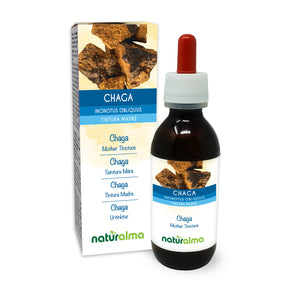 Chaga Tintura madre liquido alcoolico - Naturalma - Integratore alimentare