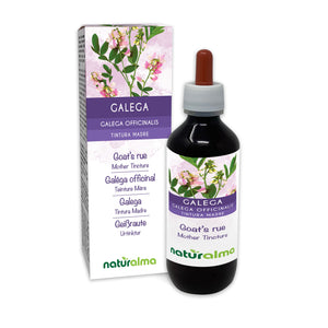 goat’s rue alcohol-free mother tincture liquid - Naturalma - Food supplement