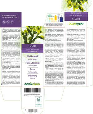 Fucus alcohol-free mother tincture liquid - Naturalma - Food supplement