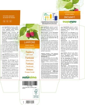 Lampone Gemmoderivato liquido analcoolico - Naturalma - Integratore alimentare