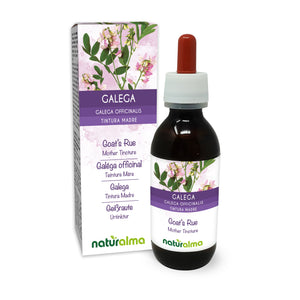 goat’s rue alcohol-free mother tincture liquid - Naturalma - Food supplement