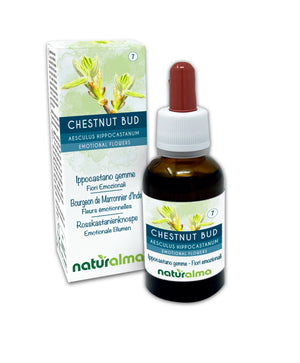 Chestnut Bud Fiori emozionali o Fiori di Bach liquido alcoolico - Naturalma
